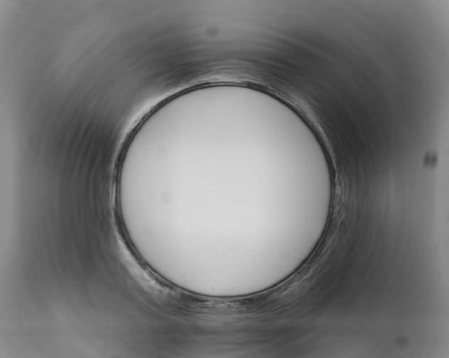 X0000111820795200908131522