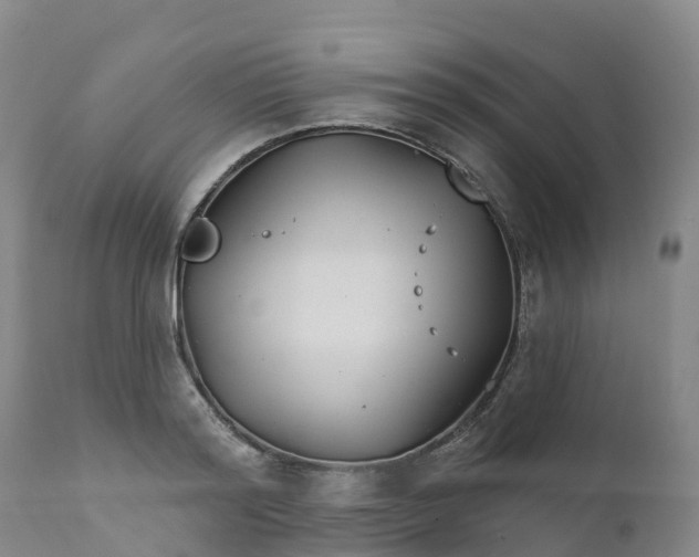 X0000111820796200908131522