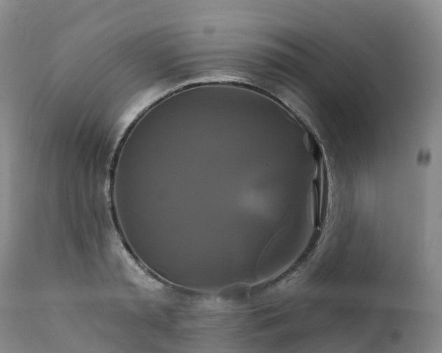 X0000111820797200908131522