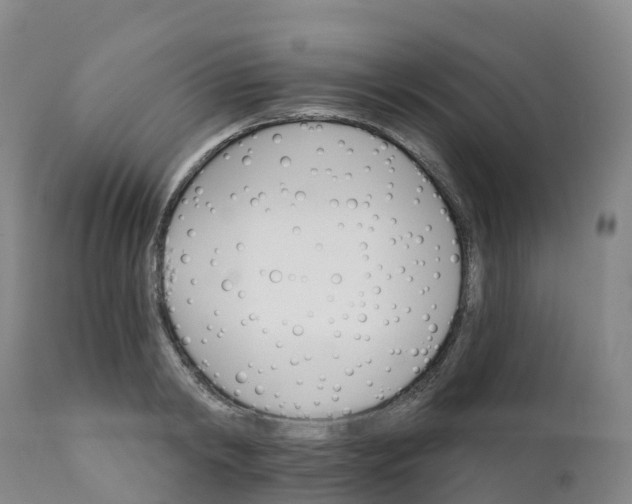 X0000111820798200908131522