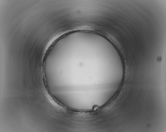 X0000111820800200908131522