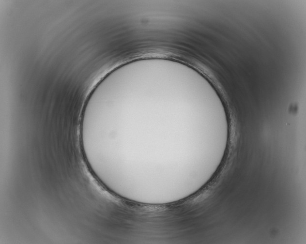 X0000111820802200908131522