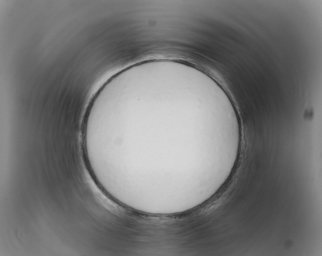 X0000111820803200908131522