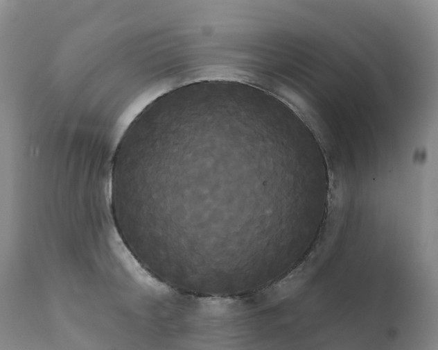 X0000111820804200908131522