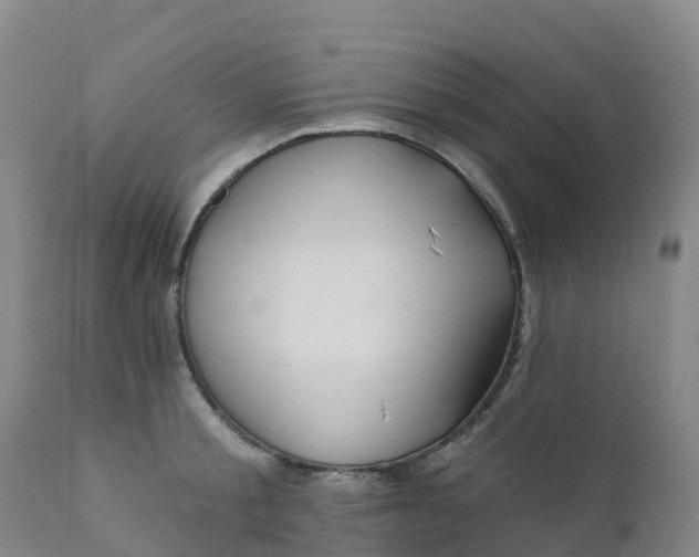 X0000111820805200908131522