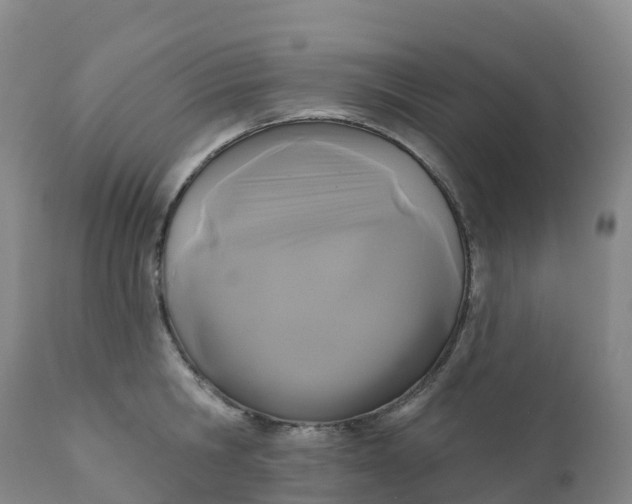 X0000111820806200908131522