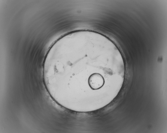 X0000111820807200908131522