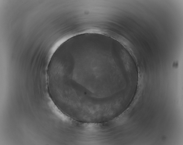 X0000111820808200908131522