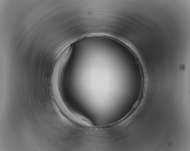 X0000111820809200908131521