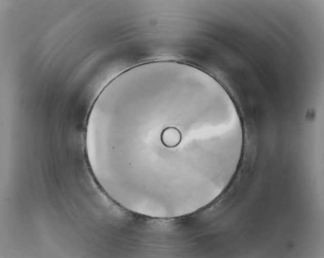 X0000111820810200908131521