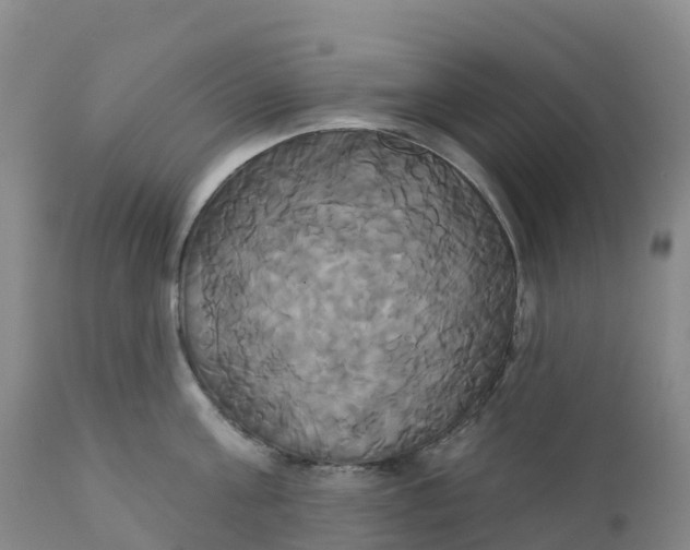 X0000111820811200908131521