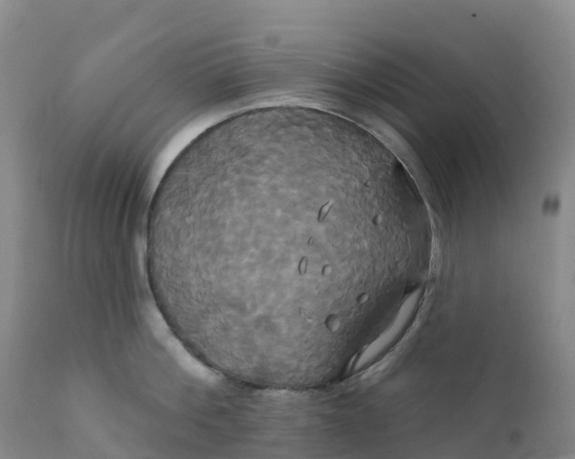 X0000111820812200908131521