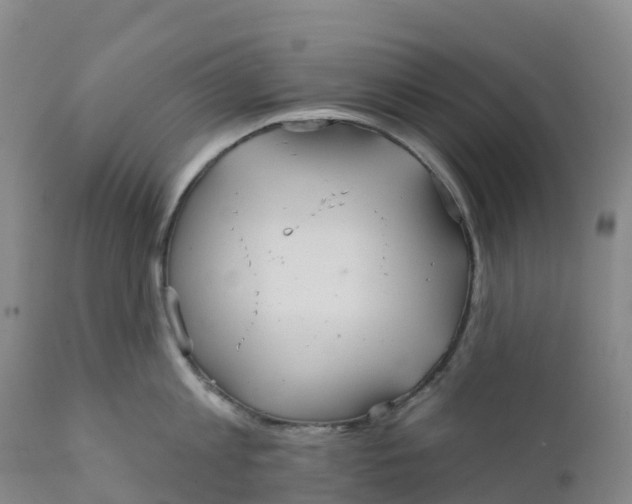 X0000111820813200908131521