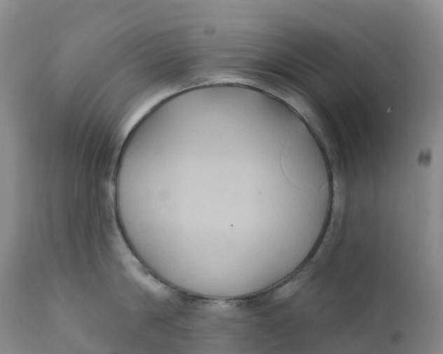 X0000111820814200908131521