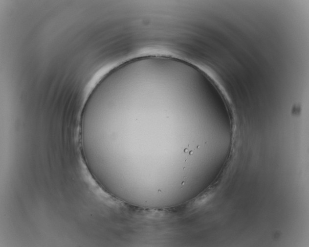 X0000111820815200908131521