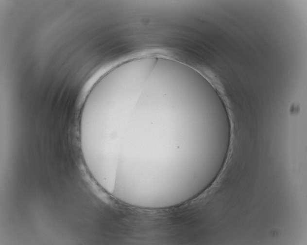 X0000111820816200908131521