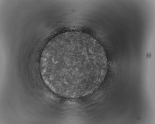 X0000111820817200908131521