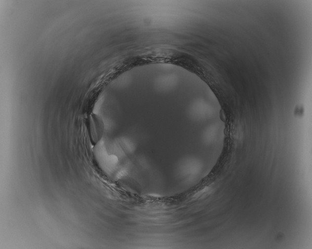 X0000111820818200908131521