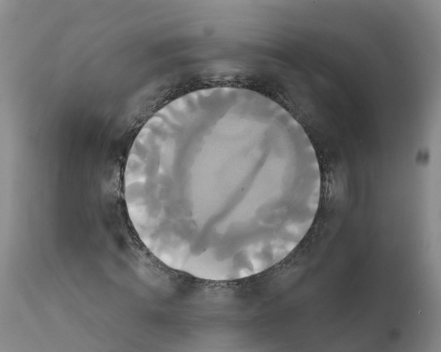 X0000111820820200908131521