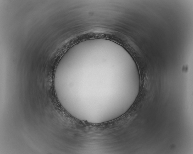 X0000111820821200908131521