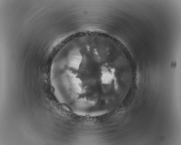 X0000111820823200908131521