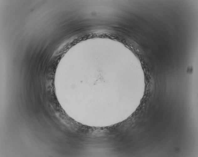 X0000111820824200908131521