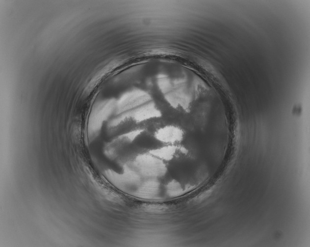 X0000111820825200908131521