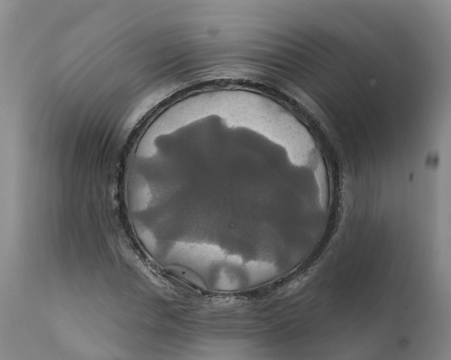 X0000111820826200908131521