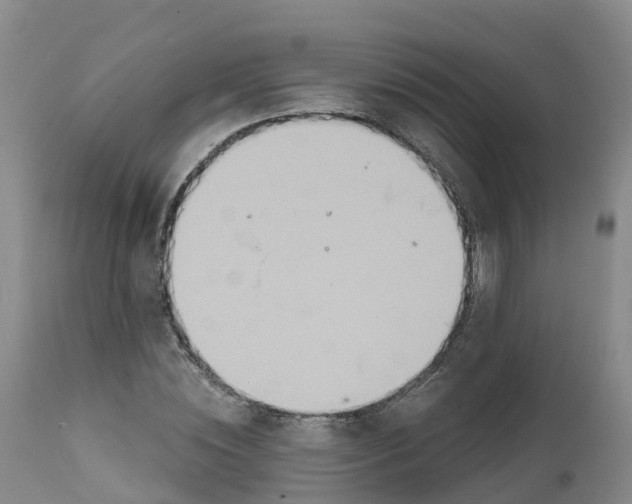 X0000111820828200908131521