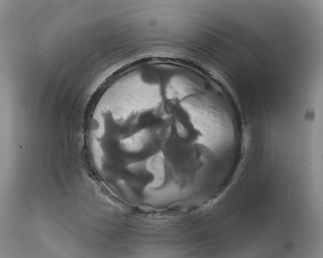 X0000111820829200908131521