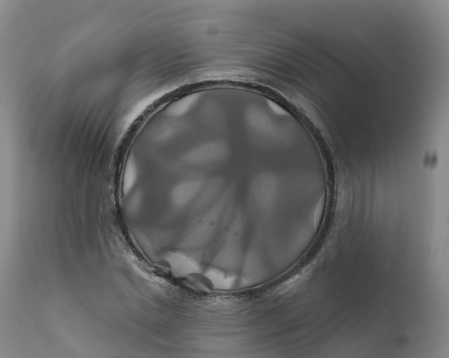 X0000111820830200908131521