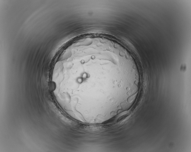 X0000111820831200908131521