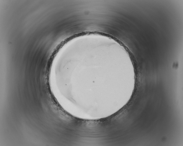 X0000111820832200908131521