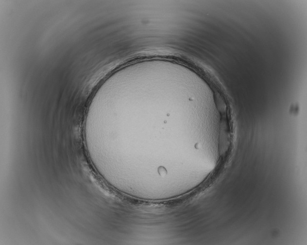 X0000111820833200908131521