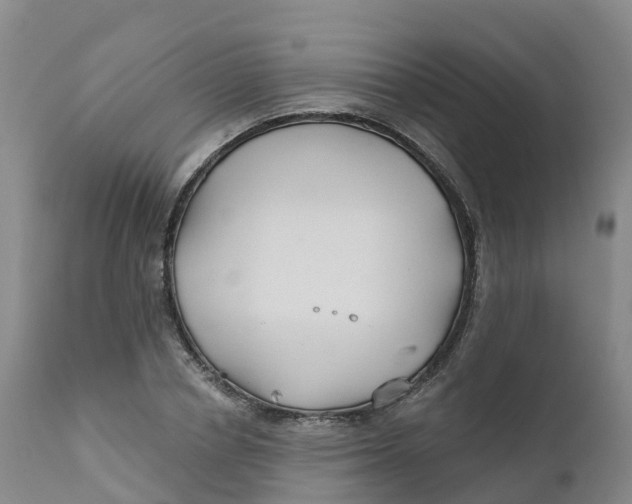 X0000111820834200908131521