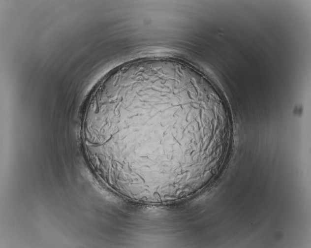 X0000111820835200908131521