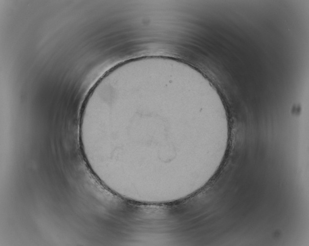 X0000111820836200908131521