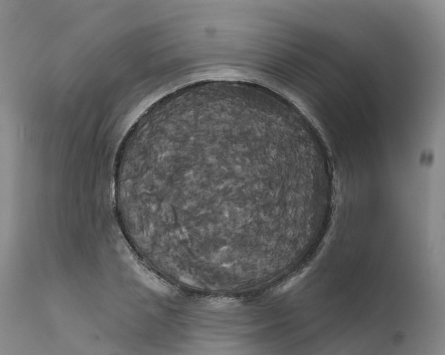 X0000111820837200908131521