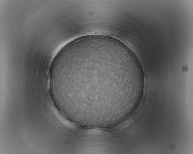 X0000111820838200908131521