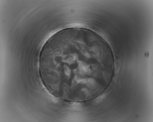 X0000111820839200908131521