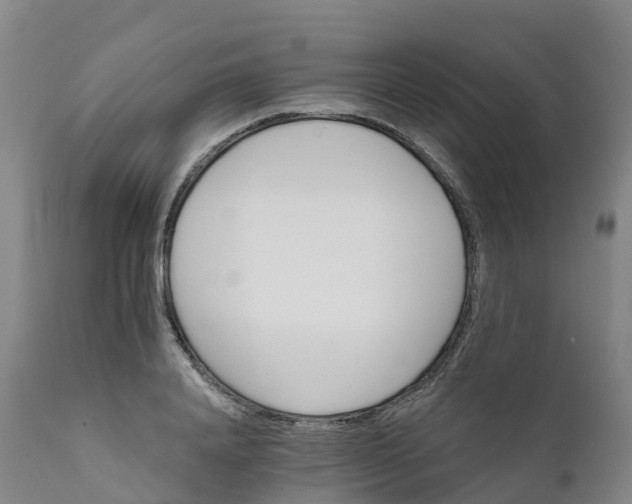 X0000111820840200908131521