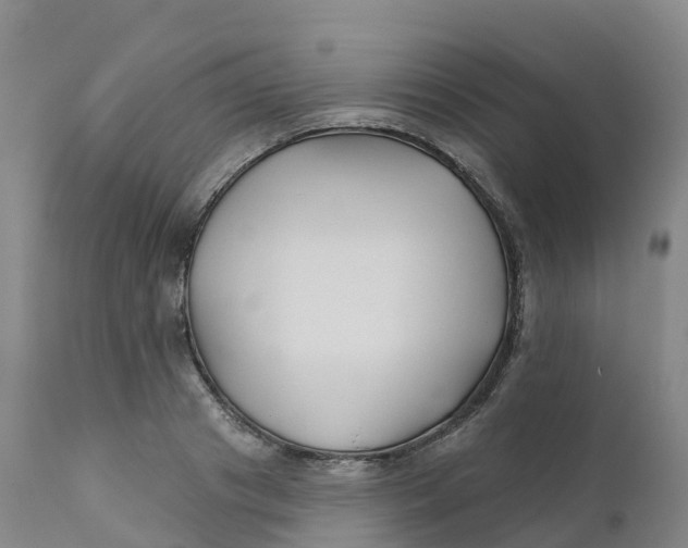 X0000111820841200908131521