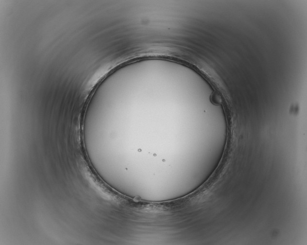 X0000111820842200908131521