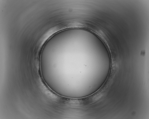 X0000111820843200908131521