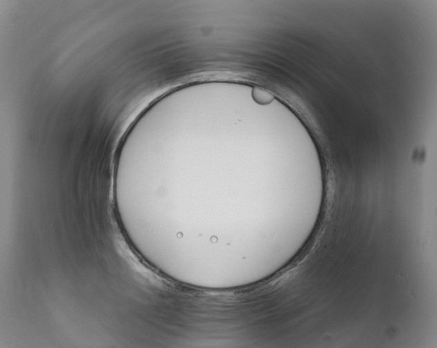 X0000111820844200908131521