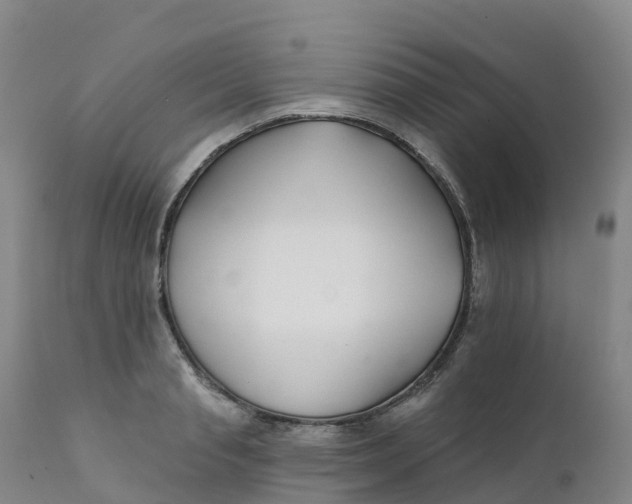 X0000111820845200908131521