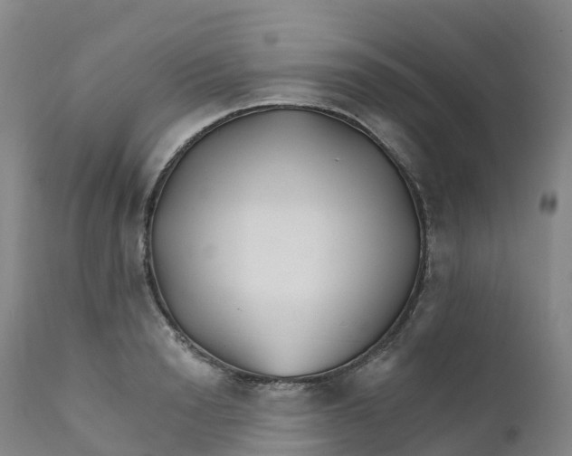 X0000111820846200908131521