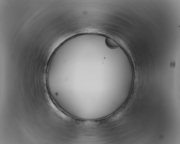 X0000111820847200908131521