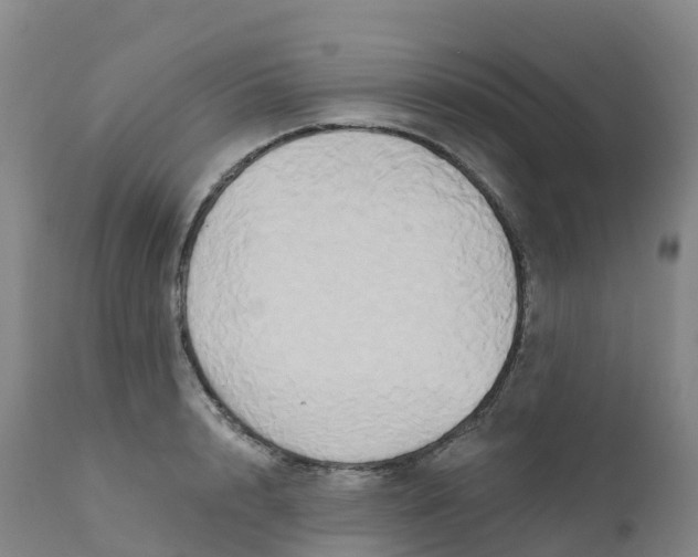 X0000111820848200908131521