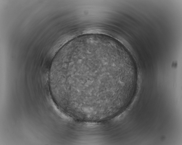 X0000111820849200908131521